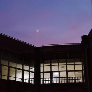 中国操逼视频免费
