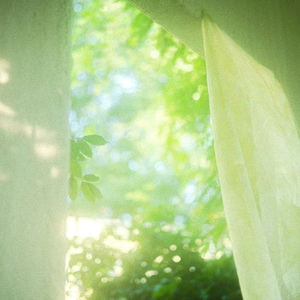 麻豆果冻传媒精品二三区
